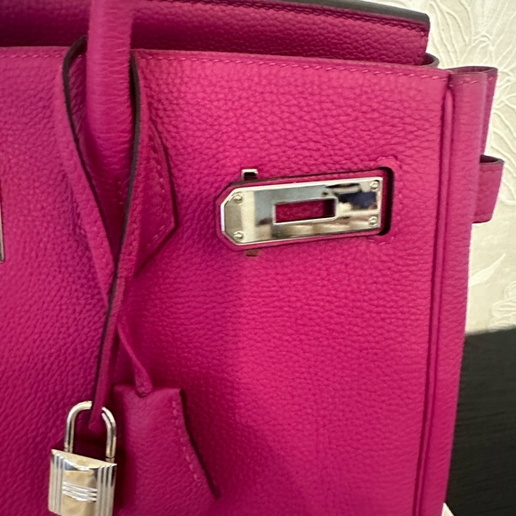 Hermes Birkin 30CM Magnolia Togo Leather with Palladium Hardware - Picture 5 of 16